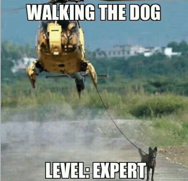 Dog Walker