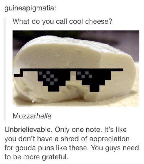 Tumblr Puns Cool Cheese