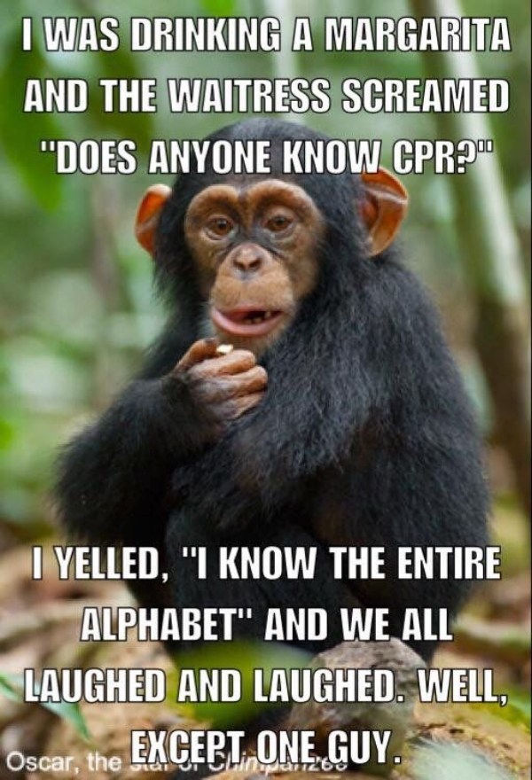 Cpr Monkey