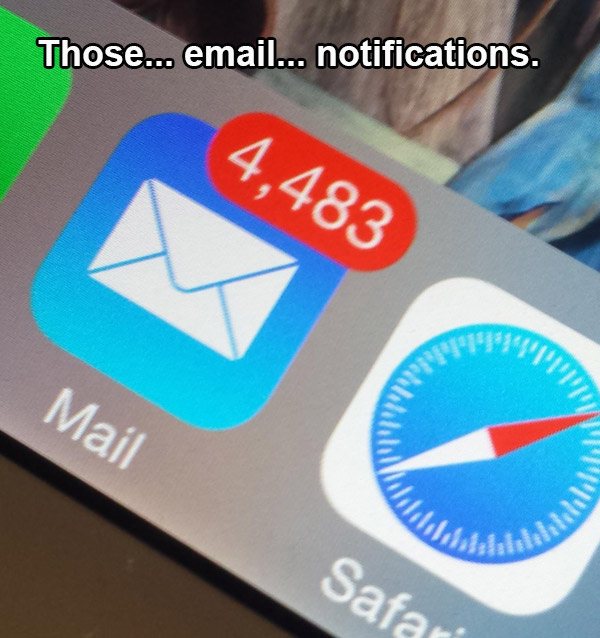 Email Notification