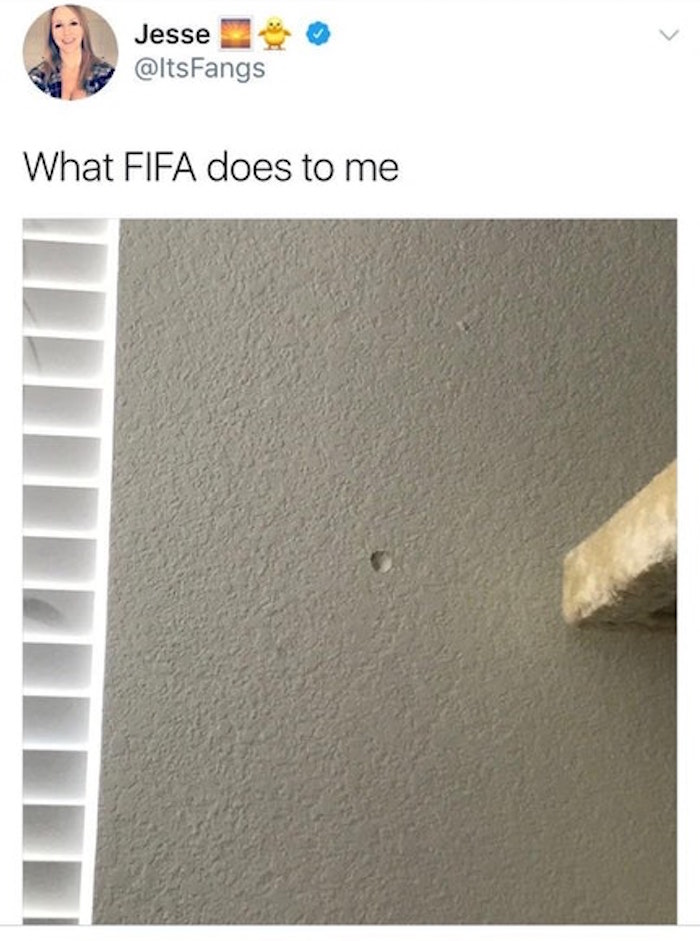 Fifa Anger