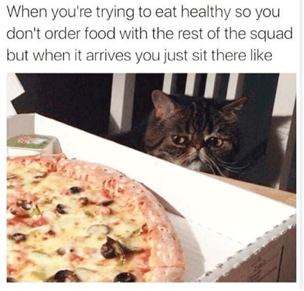 Pizza Cat