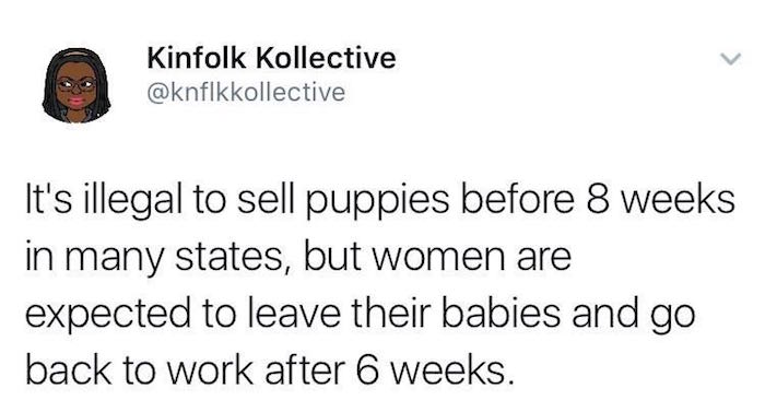 Puppies