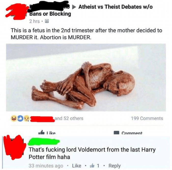 Voldemort Fetus