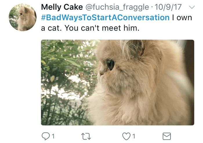 You Can't Meet My Cat
