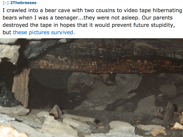 Bear Cave