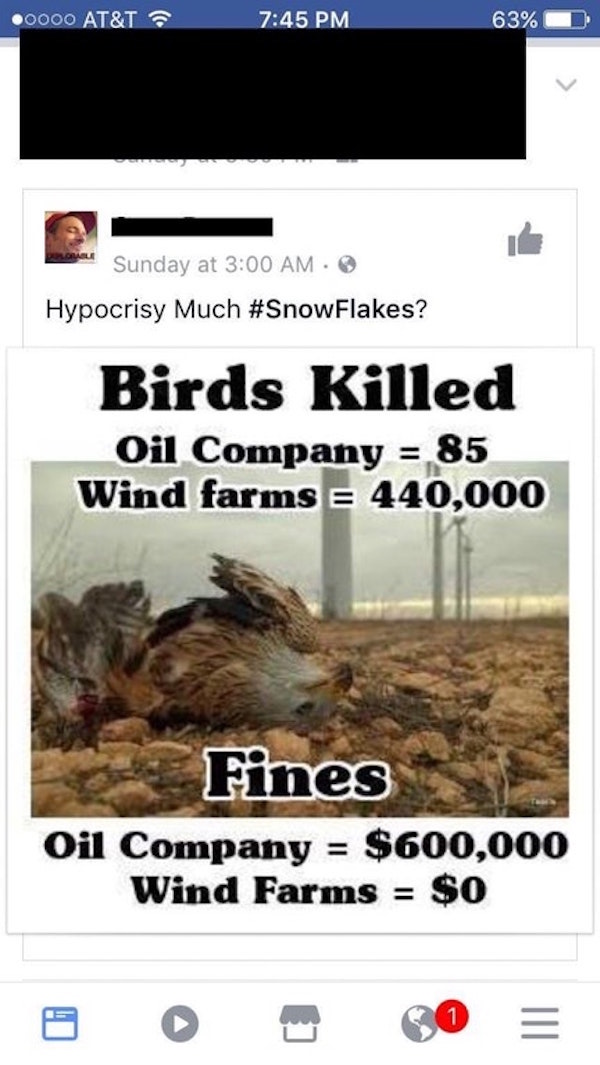 Birds Killed