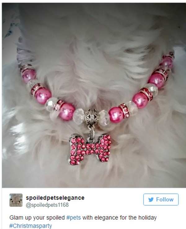 Dog Bling