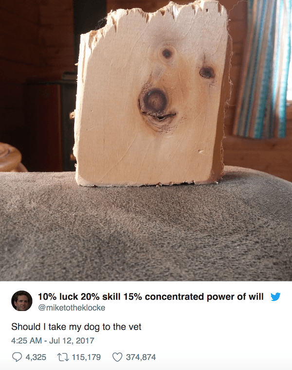Dog Wood