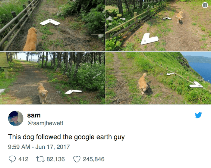 Google Earth Dog