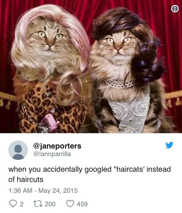 Haircats