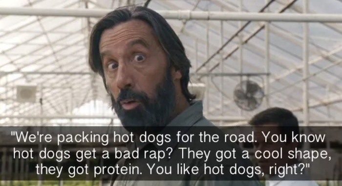 Hot Dogs