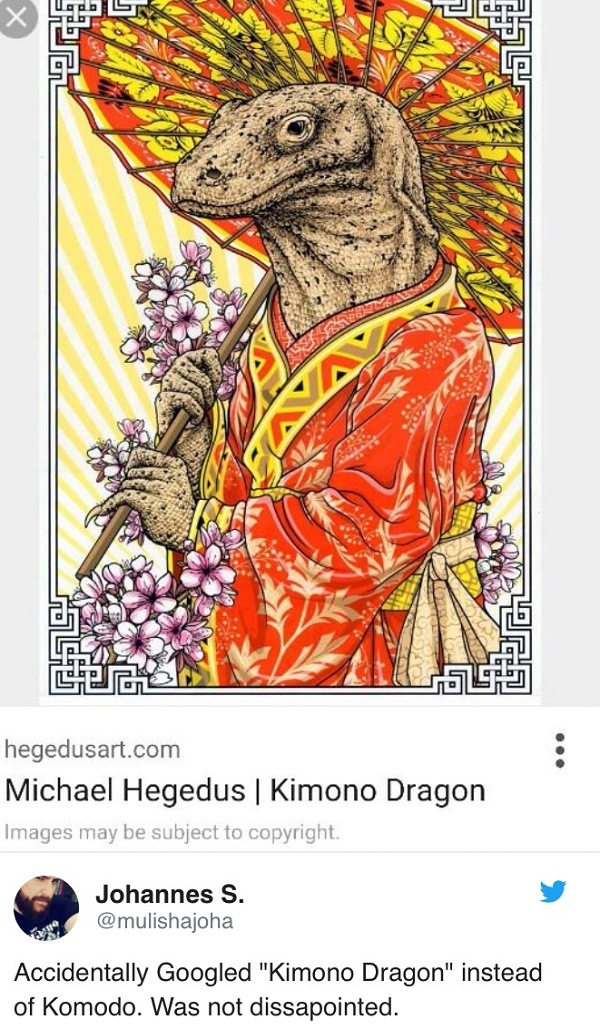 Kimino Dragon