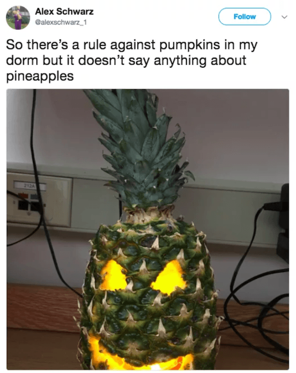No Pumpkins