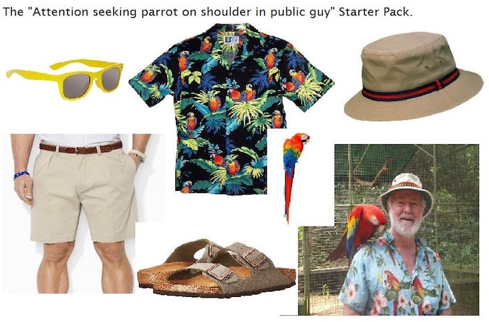 Parrot Dude