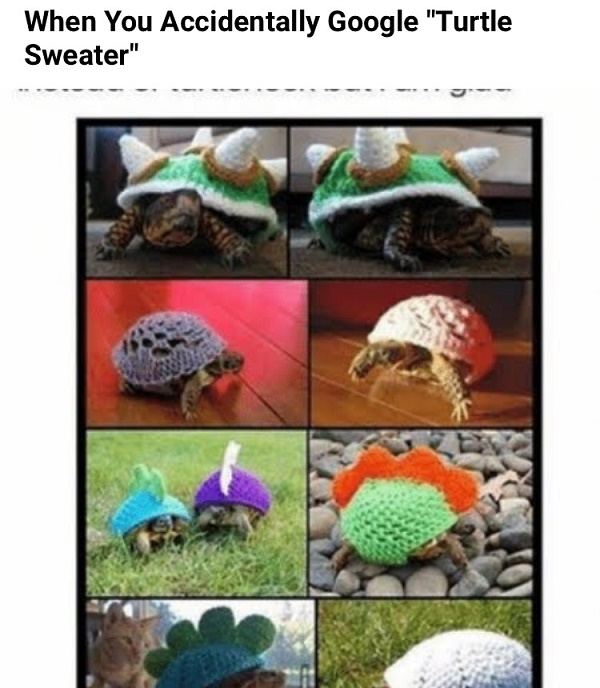 Turtle Sweater