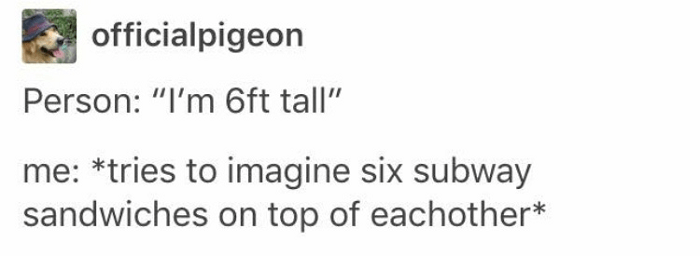 Understanding Height