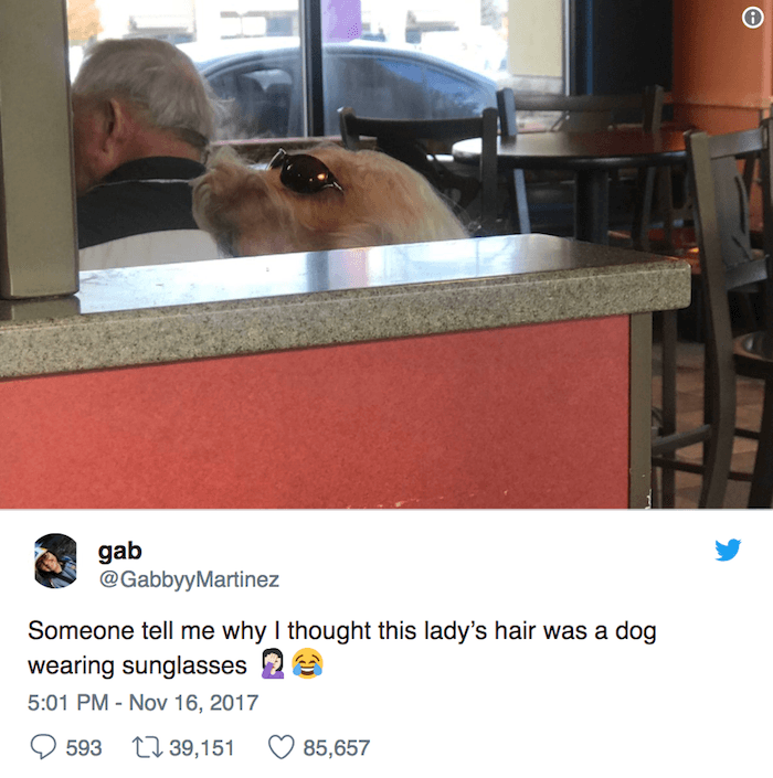 Year In Tweets Dog Sunglasses